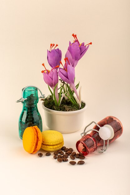Een vooraanzichtpot met koffie Franse macarons en paarse plant op de roze oppervlakteplantkleur