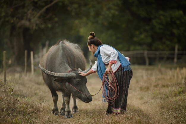 Een vrouw loopt met een buffeltouw in de wei.