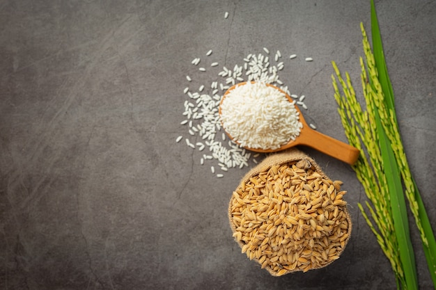 Gratis foto een zak rijstzaad met witte rijst op kleine houten lepel en rijstplant