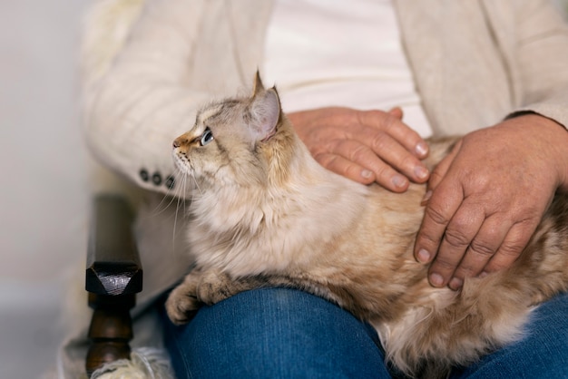 Gratis foto eigenaar borstelen schattige kat vooraanzicht