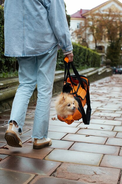 Gratis foto eigenaarstas met zijaanzicht van de hond