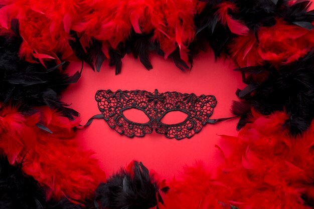 Elegant carnaval masker met veren