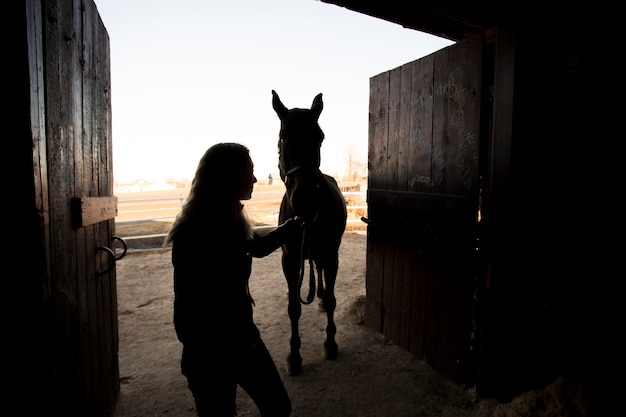 Gratis foto elegant paardsilhouet tegen dageraadhemel