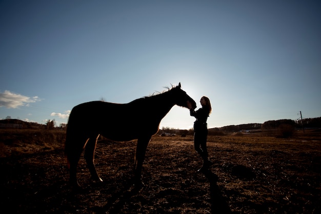 Gratis foto elegant paardsilhouet tegen dageraadhemel