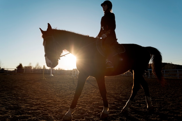 Gratis foto elegant paardsilhouet tegen dageraadhemel