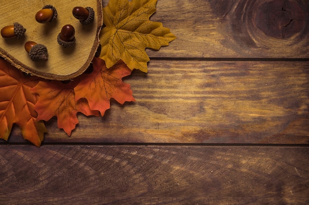 Gratis foto elegante herfstsamenstelling van hout en eikels