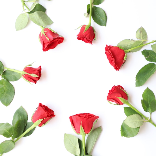 Elegante Rode Rose Multipurpose Floral Achtergrond