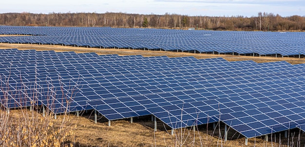 Elektrische boerderij met panelen voor het produceren van schone ecologische energie