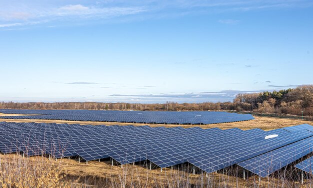 Elektrische boerderij met panelen voor het produceren van schone ecologische energie