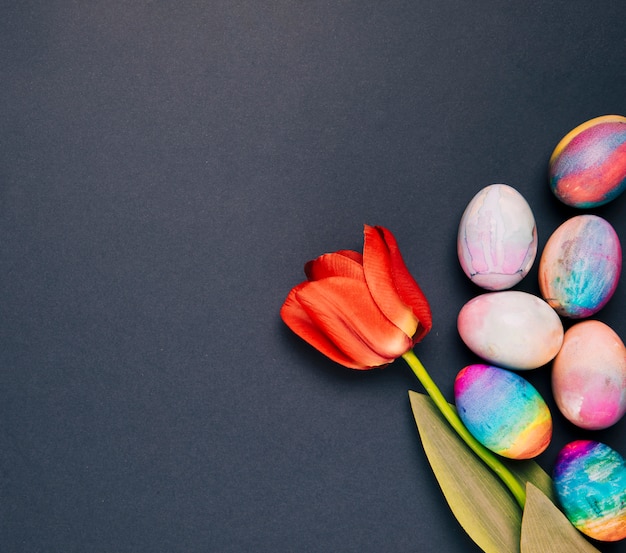 Gratis foto enige rode tulp met geschilderde kleurrijke paaseieren op zwarte achtergrond