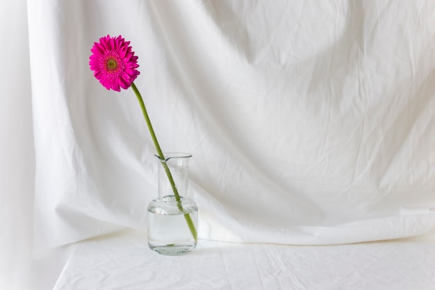 Gratis foto enige roze gerberabloem in vaas op wit bureau