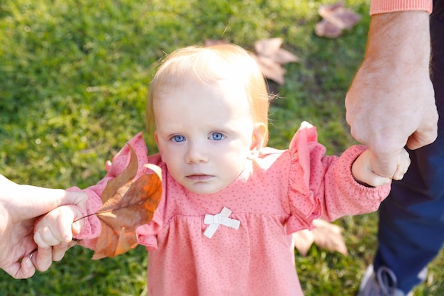 Ernstige baby die voorzijde bekijkt en de handen van de ouders en gedroogd esdoornblad houdt