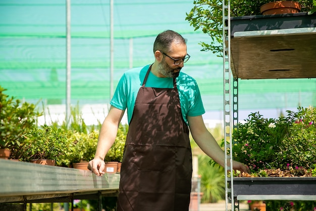 Ernstige blanke man in broeikas staan en planten kijken. Nadenkend bebaarde tuinman zwarte schort dragen en werken in kas alleen. Commerciële tuinieren activiteit en zomerconcept