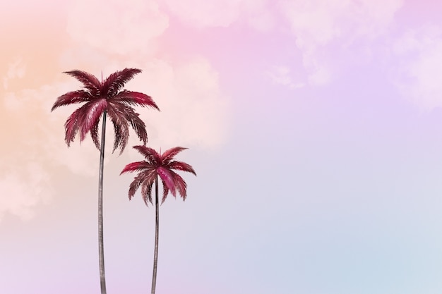 Gratis foto esthetische achtergrond met palmboom
