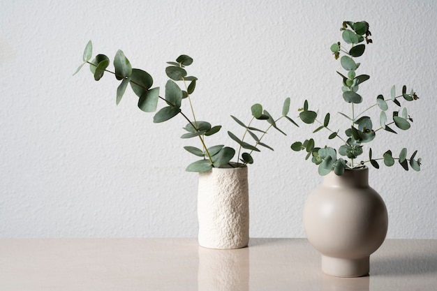 Eucalyptus in witte vaas op tafel achtergrond