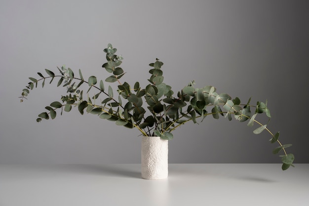 Eucalyptus plant op tafel achtergrond