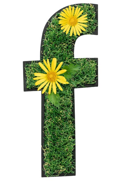 f Letter gemaakt van groen gras met bloemen geïsoleerd op wit