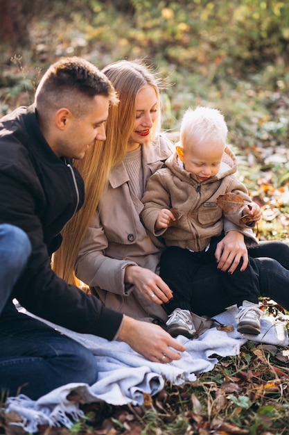 Familie die kleine picknick met hun zoon in de herfstpark heeft