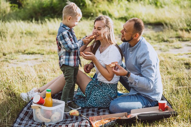 Familie die picknick heeft en pizza in park eet