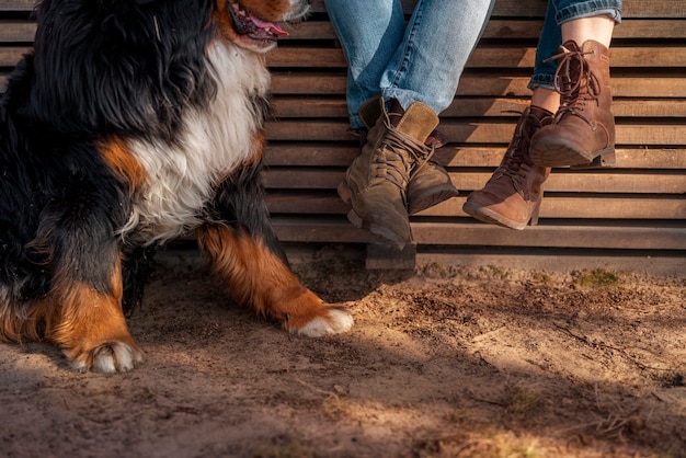 Gratis foto familie en hond buiten zitten