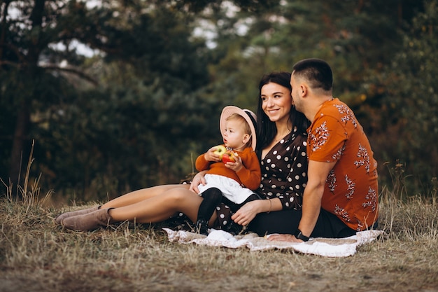 Familie met hun kleine dochter die picknick op een gebied heeft