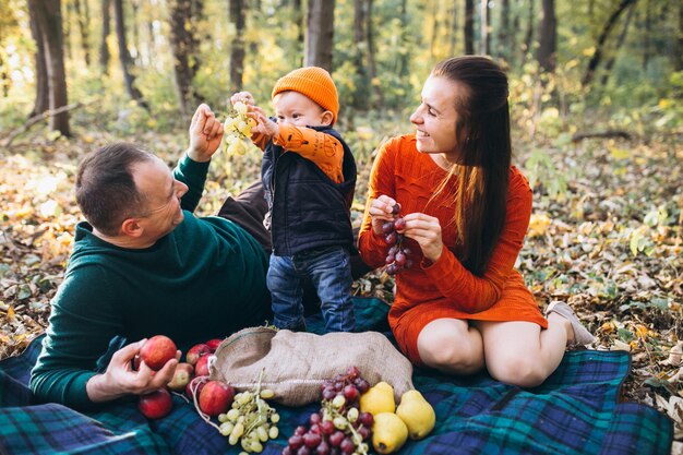 Familie met hun kleine zoon die picknick in park heeft