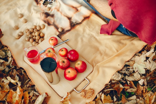 Familiepicknick een de herfstpark