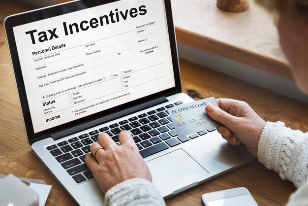 Fiscaal Incentive Audit Voordeel Contant Betaling Inkomen Concept