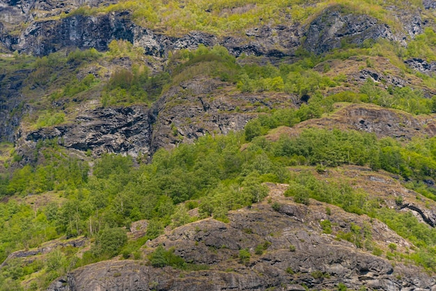 Gratis foto flam noorwegen 6 juni 2023 berg