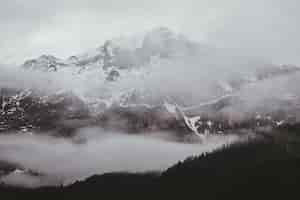 Gratis foto foggy mountain