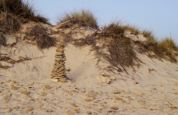 Gratis foto foto van een gouden duinlandschap met een stapel stenen