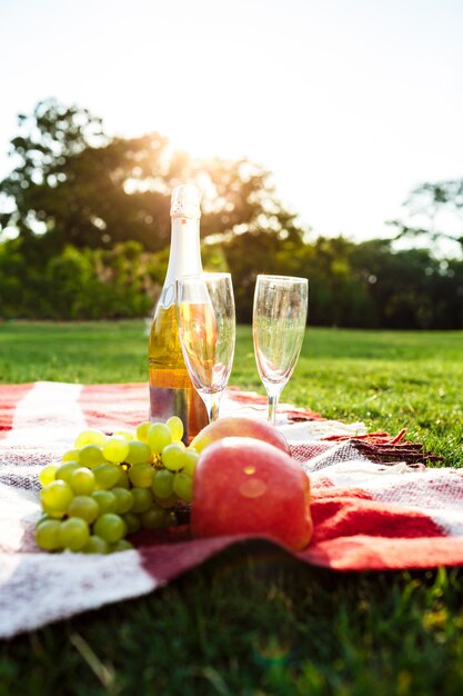 Foto van fruit, champagne en stemwares op plaid in het park.