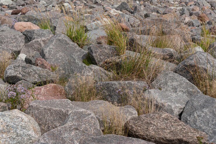 Gratis Foto foto van het stenen textuurpatroon
