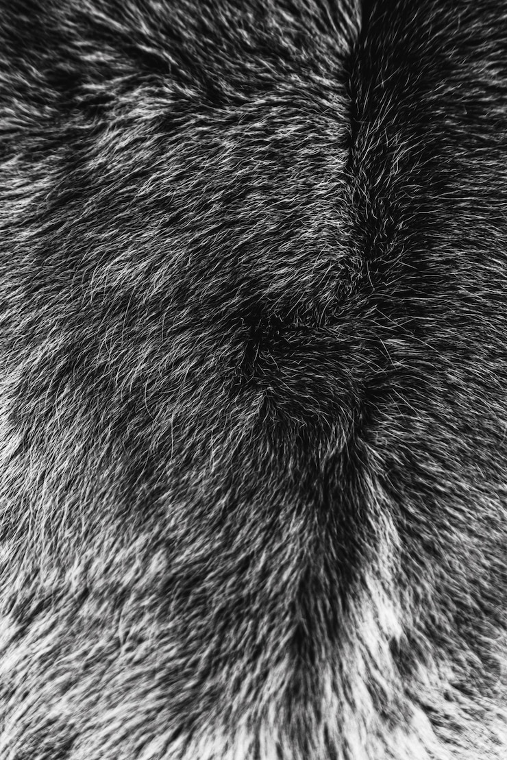 Gratis Foto foto van het textuurpatroon van de vacht