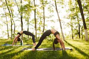 Gratis foto foto van jonge dames die in brughoudingen staan terwijl ze samen yoga trainen in de buitenlucht twee vrouwen die yoga beoefenen met prachtig uitzicht op de achtergrond
