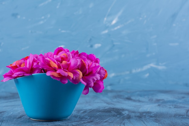 Foto van mooie paarse bloemen in een vaas op blauw.