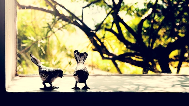 Gratis foto foto van vogels paar door het raam van de natuur