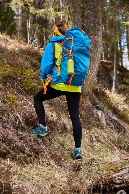 Foto van vrouwelijke reiziger overwint heuvelopwaarts, trektochten in het bos, draagt grote blauwe rugzak op rug, maakt stap