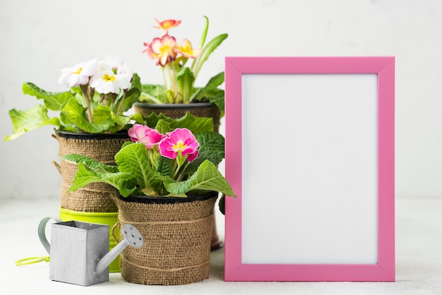 Frame naast bloemenpotten