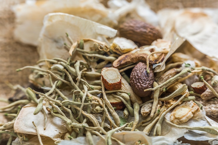 Gratis Foto fruit kruiden ingrediënt natuurlijke zaden pijnboom