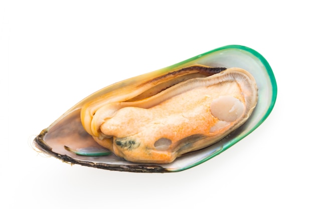 gastronomie mossel zee groep