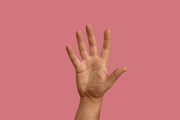 Gratis foto gebarentaal gebaar geïsoleerd op roze