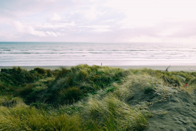 Gebied van groen gras in de buurt van de zee onder de mooie bewolkte hemel