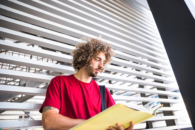 Geconcentreerd leerboek voor studenten