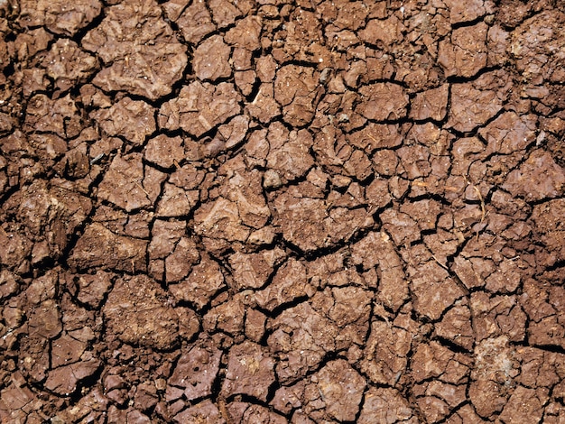 Gedroogd en gebarsten droogteland