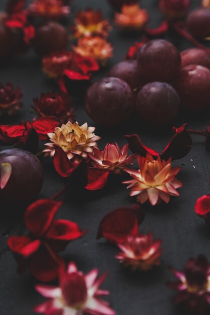 Gedroogde bloemen en druiven