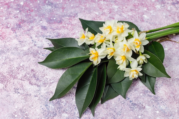 Gratis foto geel witte narcis, narcis, jonquille bloem op lichte achtergrond. 8 maart vrouwendag.