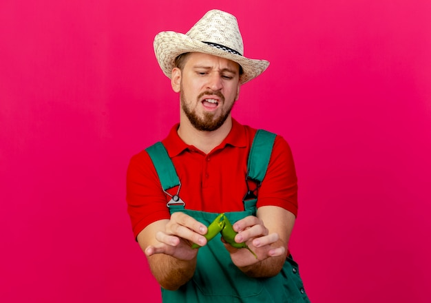 Geërgerd jonge knappe slavische tuinman in uniform en hoed houden en kijken naar peper helften