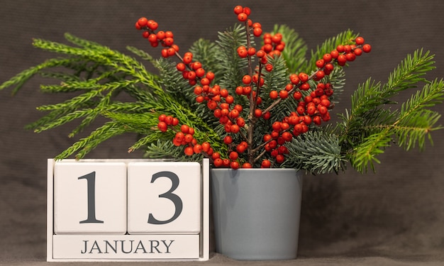 Geheugen en belangrijke datum 13 januari, bureaukalender - winterseizoen.