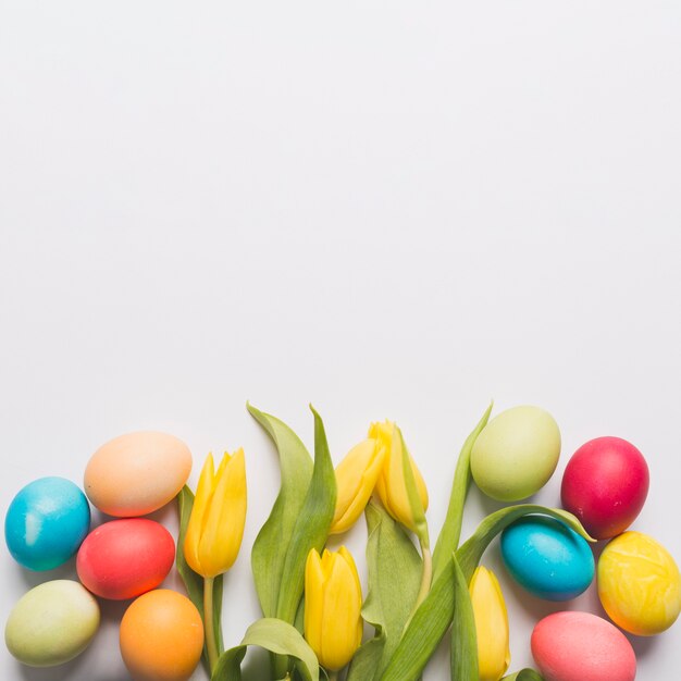Gekleurde eieren en tulpen